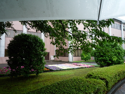 傘と景色