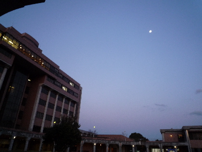 夕暮れ時。月が見えます。
