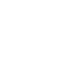 LANGUAGE